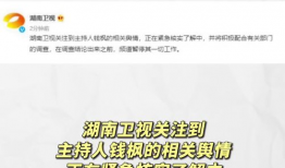 吃瓜娱乐圈符号,揭秘“吃瓜群众”背后的八卦盛宴